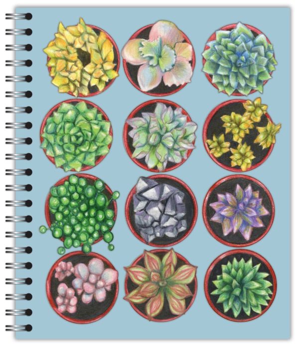 Designer Notebook - Succulents For Sale