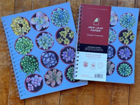 Designer Notebook - Succulents For Sale