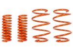 aFe Control Lowering Springs 16-17 Chevrolet Camaro V6-3.6L   I4-2.0(t) Online